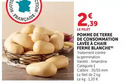 Bi1 Pomme de terre de consommation lavée à chair ferme blanche offre