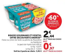 Super U Brasse gourmand et vegetal offre decouverte andros offre
