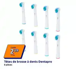 Action Têtes de brosse à dents dentapro offre