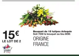Monoprix Bouquet de 15 tulipes Arlequin offre