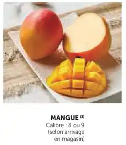 Super U Mangue offre