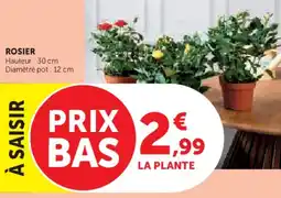 Super U Rosier offre