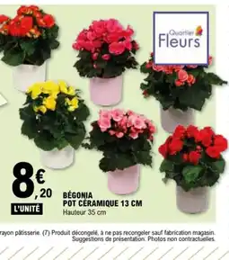 E.Leclerc Begonia pot céramique offre