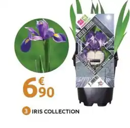 Mr Bricolage Iris collection offre