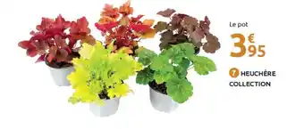 Mr Bricolage Heuchère collection offre