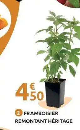 Mr Bricolage Framboisier remontant héritage offre