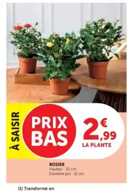 Hyper U Rosier offre