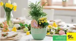 Carrefour Composition avec plantes et décorations offre