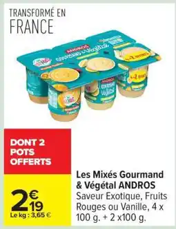 Carrefour Les Mixés Gourmand & Végétal ANDROS offre