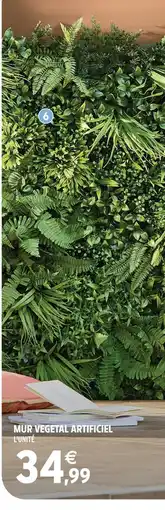 Intermarché Hyper Mur végétal artificiel offre