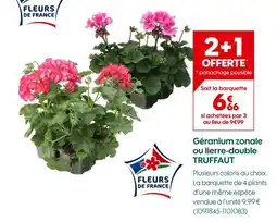 Truffaut Truffaut géranium zonale ou lierre-double offre