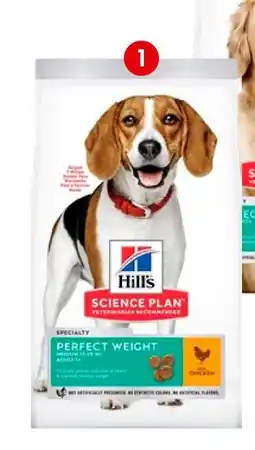 Truffaut Science plan croquettes chien adulte offre