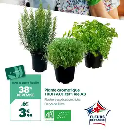 Truffaut Truffaut plante aromatique certifiée ab offre