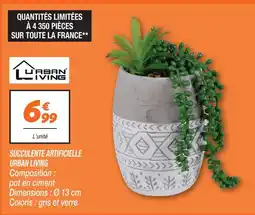 Netto Urban living succulente artificielle offre