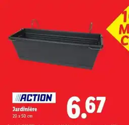 Lidl Jardinière offre