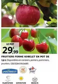 Bricomarché FRUITIERS FORME GOBELET EN POT DE 7,5 L offre