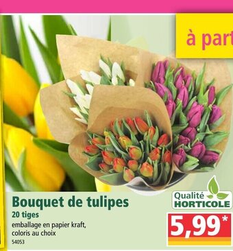 Bouquet de tulipes