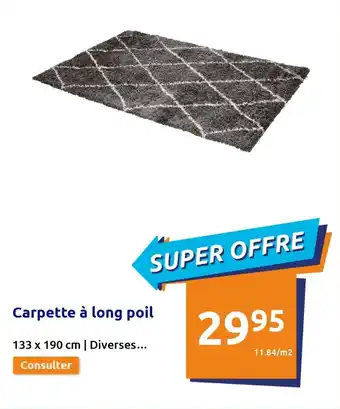 Action Carpette à long poil offre