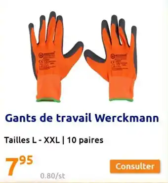 Action Gants de travail werckmann offre