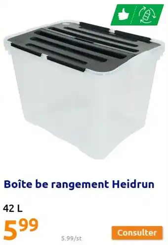 Action Boîte be rangement heidrun offre
