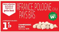 Auchan Champignons Blancs offre