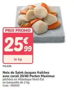 Promocash Noix de saint-jacques fraîches avec corail 20/40 pecten maximus offre