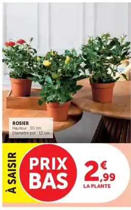 U Express Rosier offre