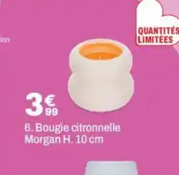 BUT Bougie citronnelle Morgan offre