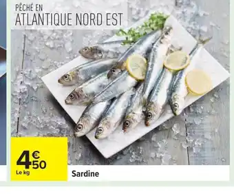 Carrefour Sardine offre