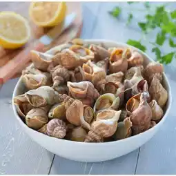 Carrefour Maison du confit bulot cuit offre