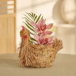 Carrefour Carrefour orchidée 2 fleurons poule en osier offre