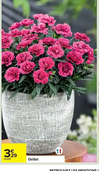 Carrefour Oeillet offre