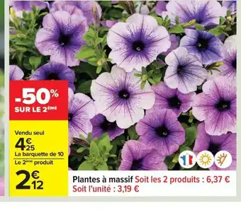 Carrefour Plantes à massif offre