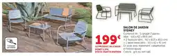 Super U Salon de jardin sydney offre