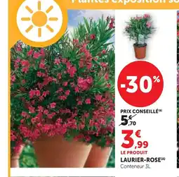 Super U Laurier-rose offre