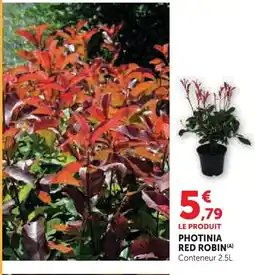 Super U Photinia red robin offre