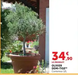 Super U Olivier demi-tige offre