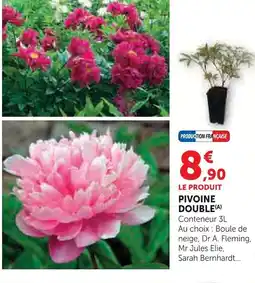 Super U Pivoine double offre