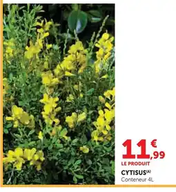 Super U Cytisus offre