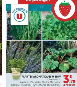 Super U Plantes aromatiques u bio offre