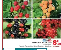 Super U Arbuste petits fruits offre