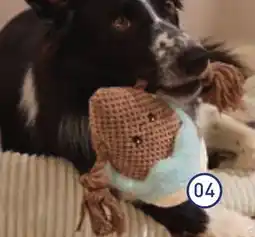 ALDI ROMÉO Jouet pour chien offre