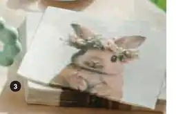 Hyper U 20 serviettes offre