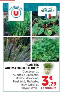 Hyper U U plantes aromatiques bio offre