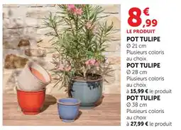 Hyper U Pot tulipe offre