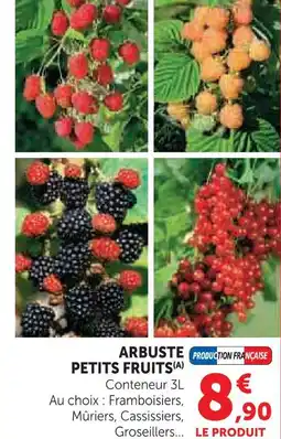 Hyper U Arbuste petits fruits framboisiers offre