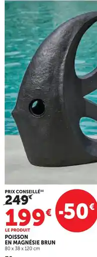Hyper U Poisson en magnésie brun offre