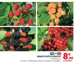 Super U Framboisier offre