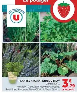 Super U U bio plantes aromatiques ciboulette offre