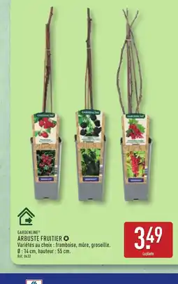 ALDI GARDENLINE Arbuste fruitier offre